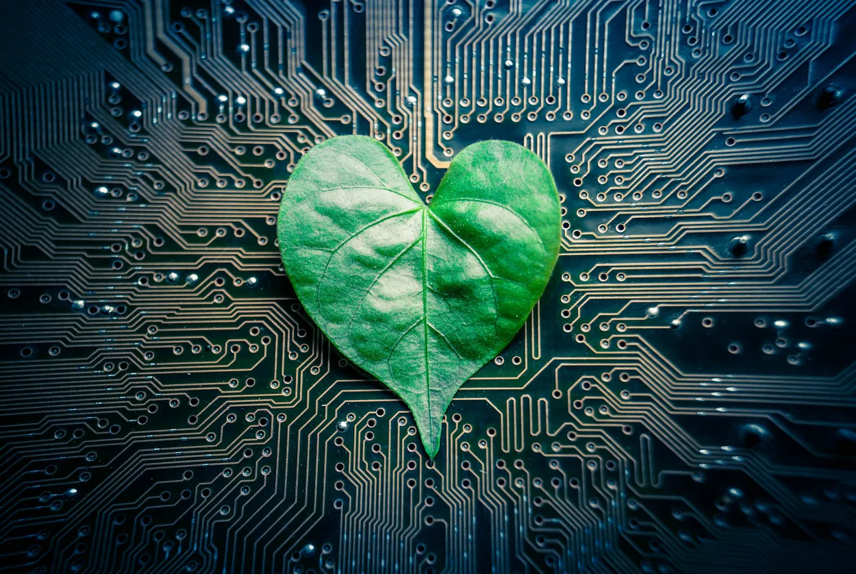 Green Coding per le performance WordPress